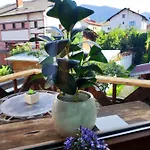 Vins Bansko