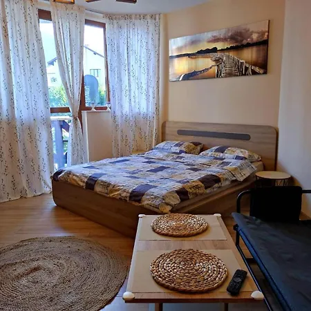 Vins Apartment Bansko