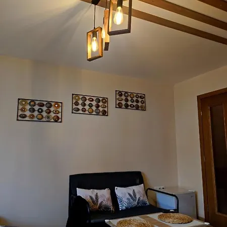 Vins Apartment *